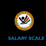 Public Service Commission Kenya Salary Scale