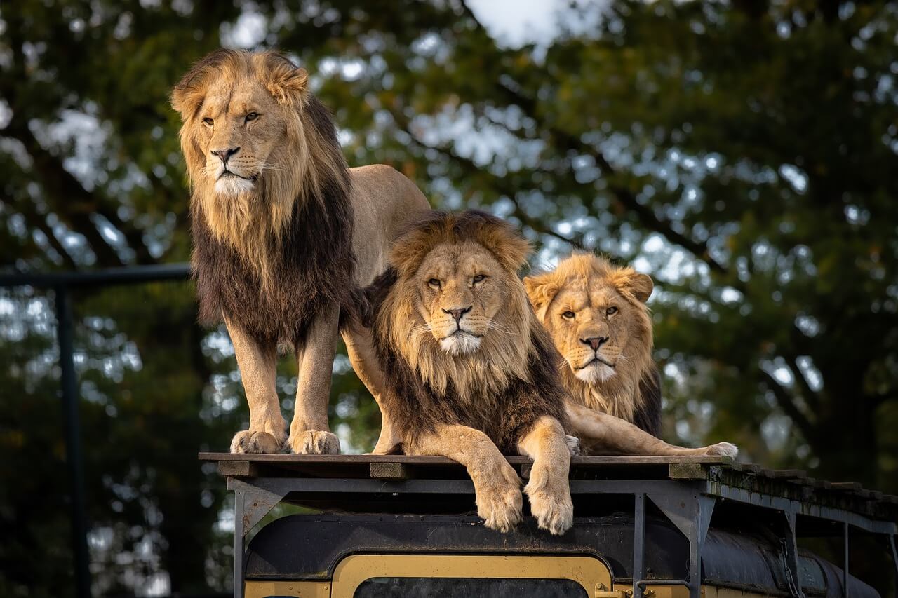Visit Nairobi National Park