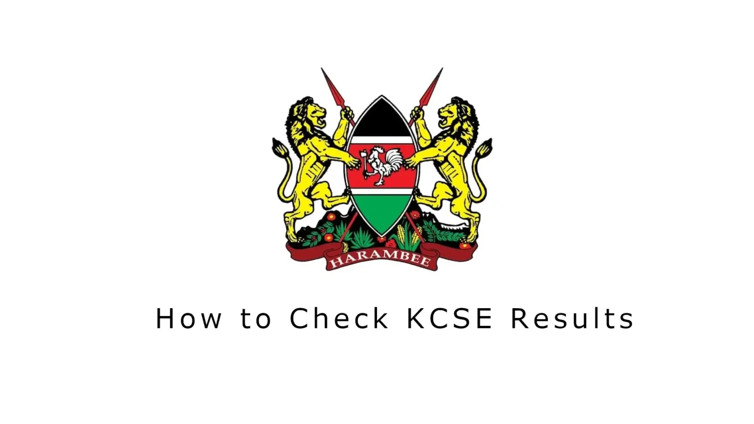 how to check kcse results