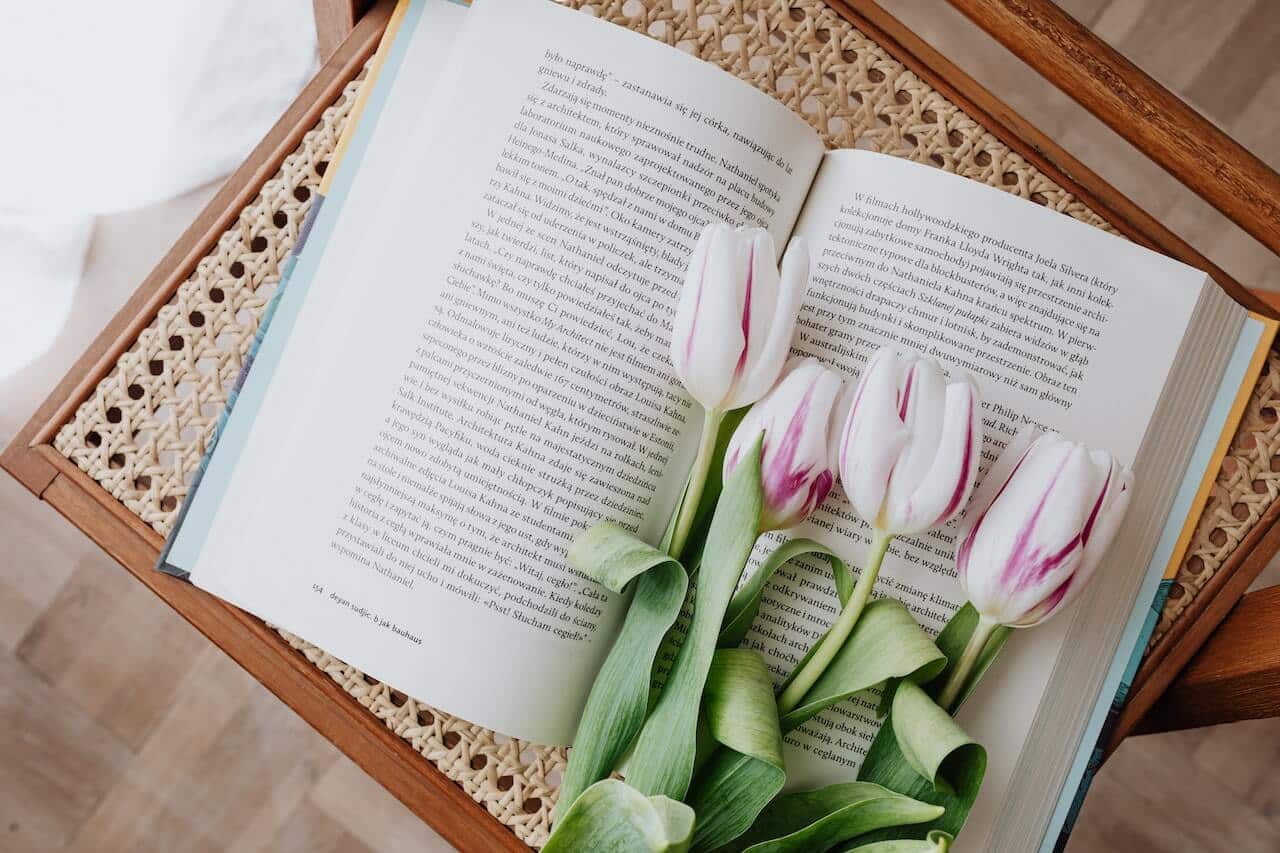 How to Hire a Trust-Worthy Book Cover Designer